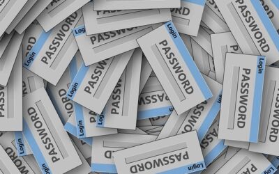 Password vulnerabilities and mitigations